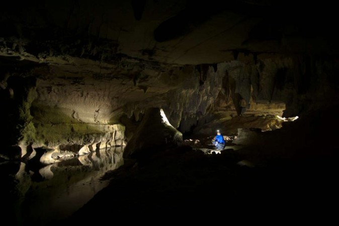 Eingang der Waipu Caves in Neuseeland