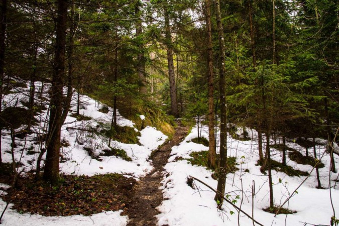 Waldweg zum Gipfel des Kalavarienberg