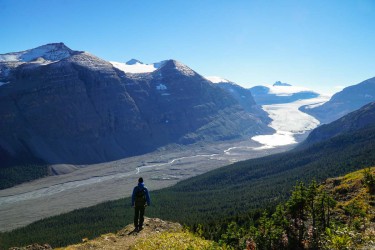 Parker Ridge Trail mit Saskatchewan Gletscher (Kanada)
