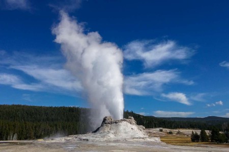 Castle-Geysir-Yellowstone