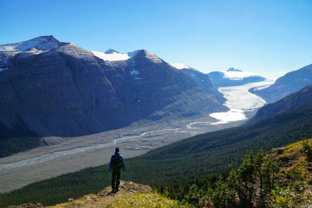 Saskatchewan-Gletscher-Columbia Icefields
