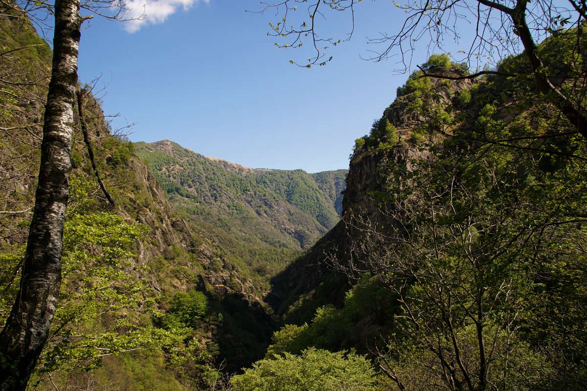 Schlucht vom Rio Pogallo