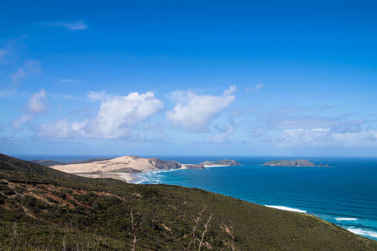 Landschaft von Northland in Neuseeland