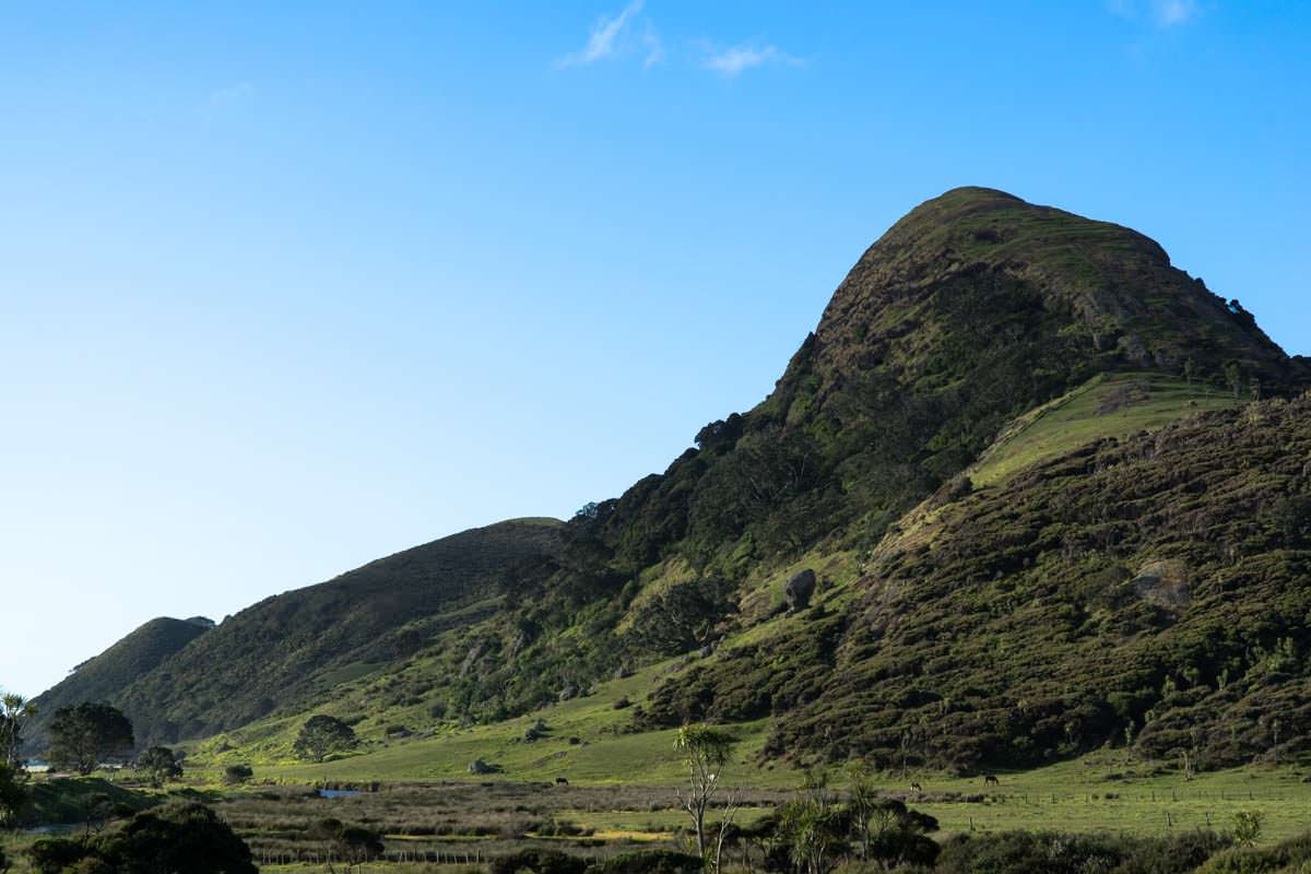 Spirits Bay Campsite in Northland, Neuseeland