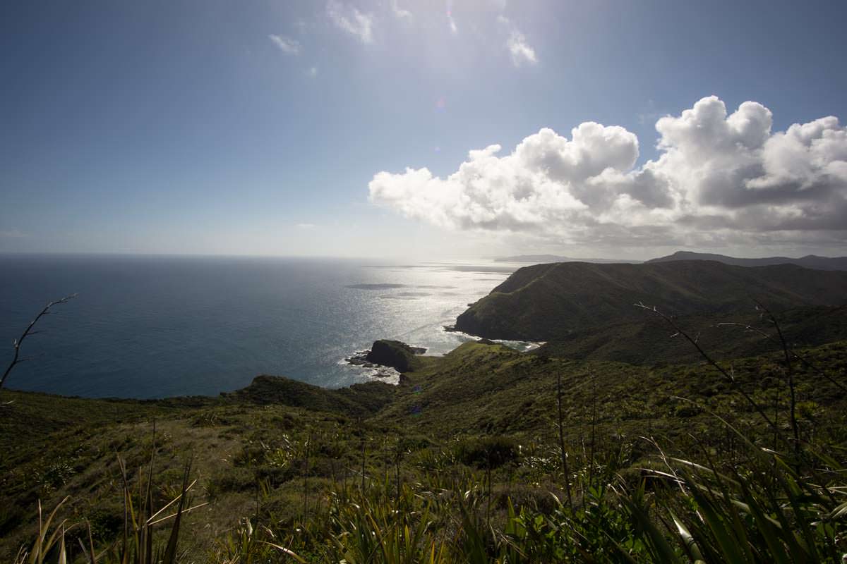 Landschaft von Northland in Neuseeland