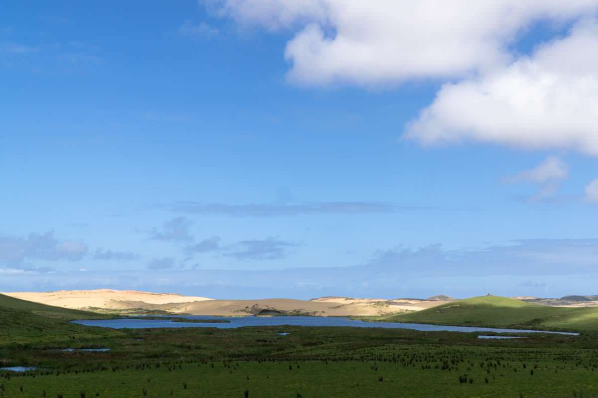 Grüne Hügel treffen auf Sanddünen in Neuseeland