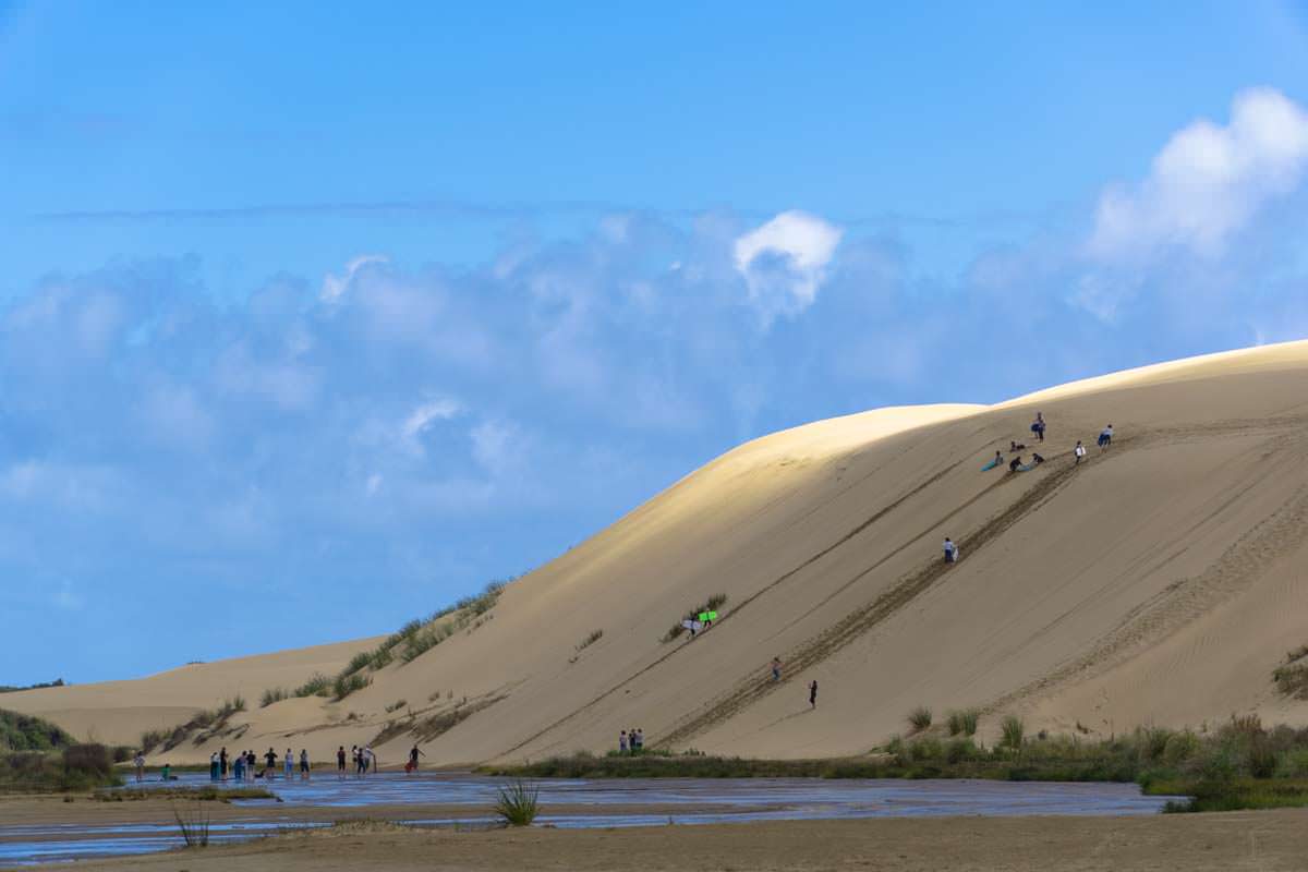 Sandboarden auf den Te Paki Great Sand Dunes in Neuseeland