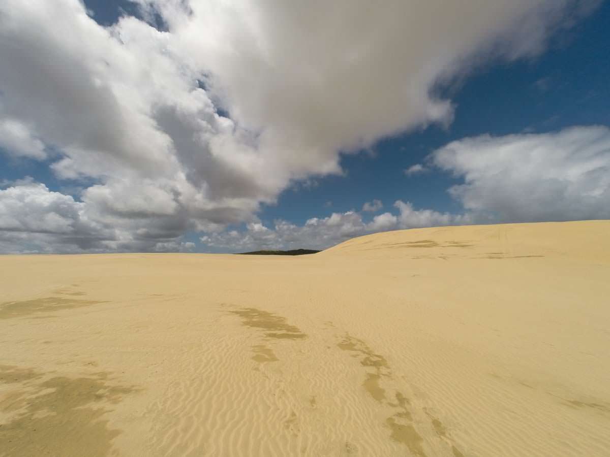 Te Paki Great Sand Dunes (Sanddünen) in Neuseeland