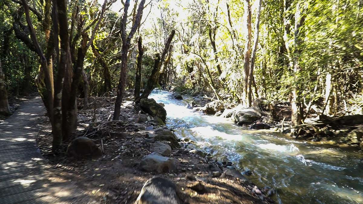 Manga-a-te-tipua Fluss im Tongariro Nationalpark in Neuseeland