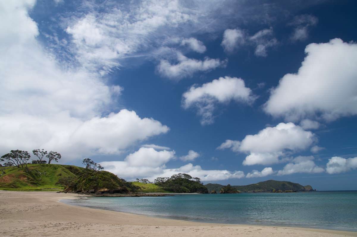 Strand der Elliot Bay (Bay of Islands) in Neuseeland