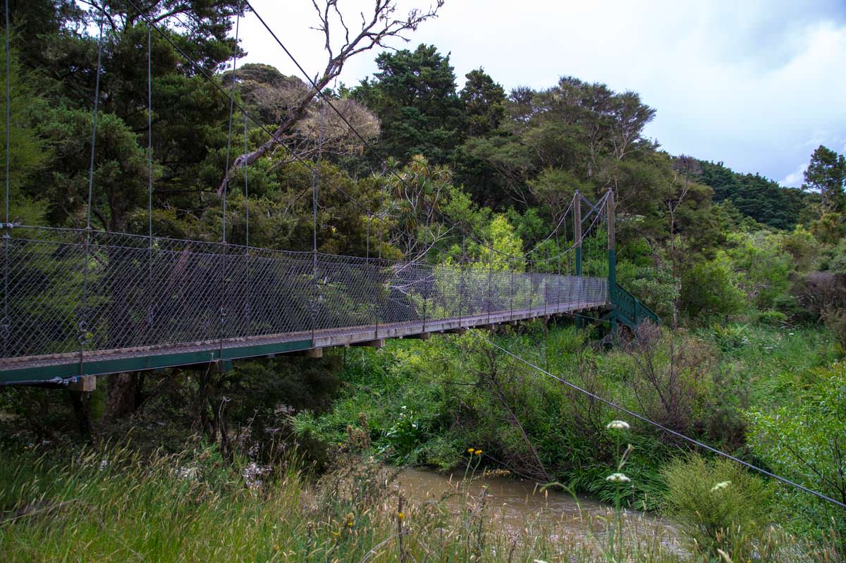 Hängebrücke im Whangarei Falls Scenic Reserve in Neuseeland