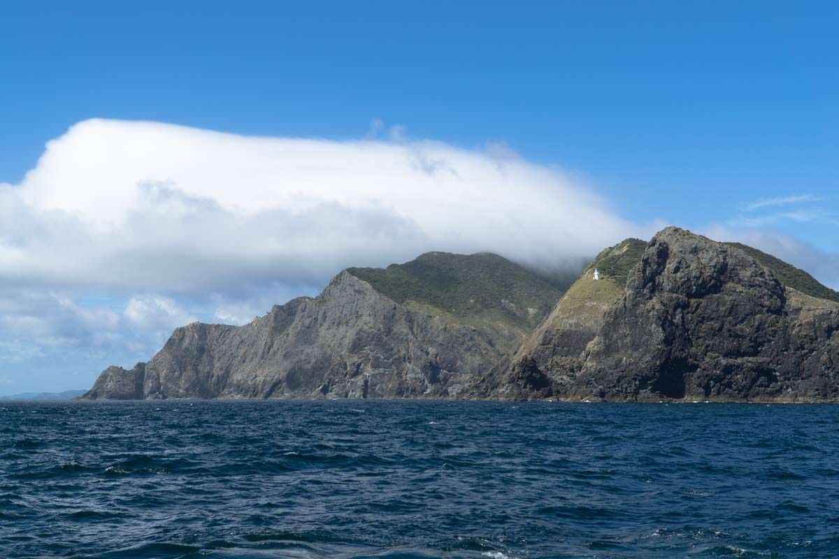 Otuwhanga Island in der Bay of Islands von Neuseeland