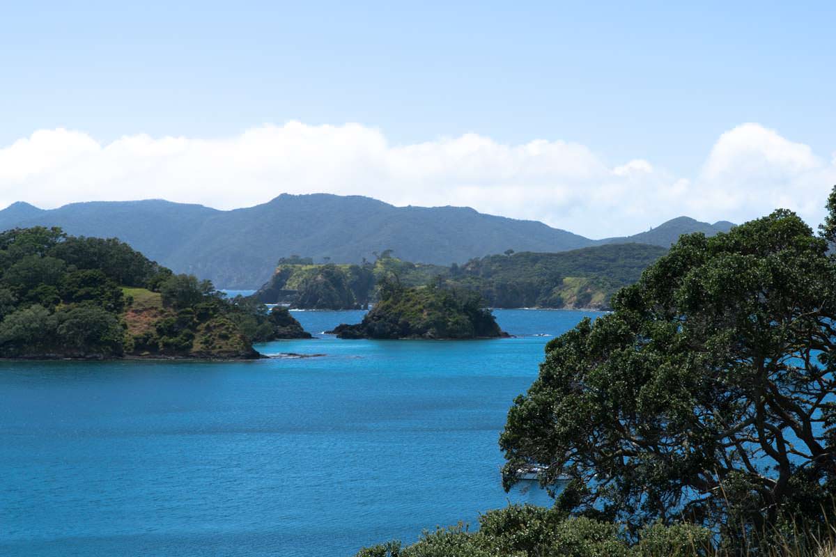 Aussicht von Urupukapuka Island über die Bay of Islands in Neuseeland