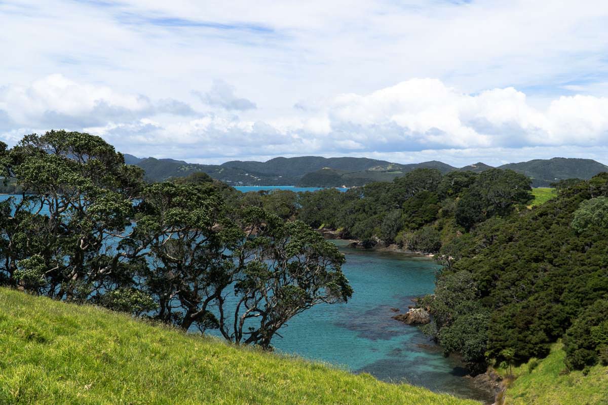 Aussicht von Urupukapuka Island über die Bay of Islands in Neuseeland