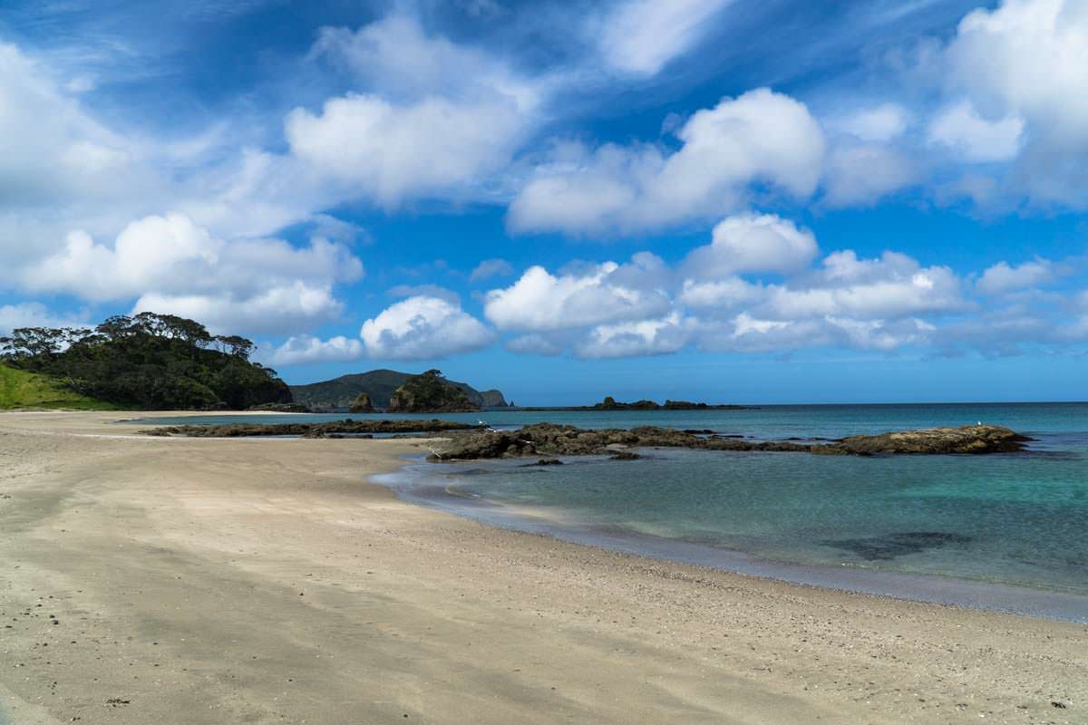 Strand der Elliot Bay (Bay of Islands) in Neuseeland