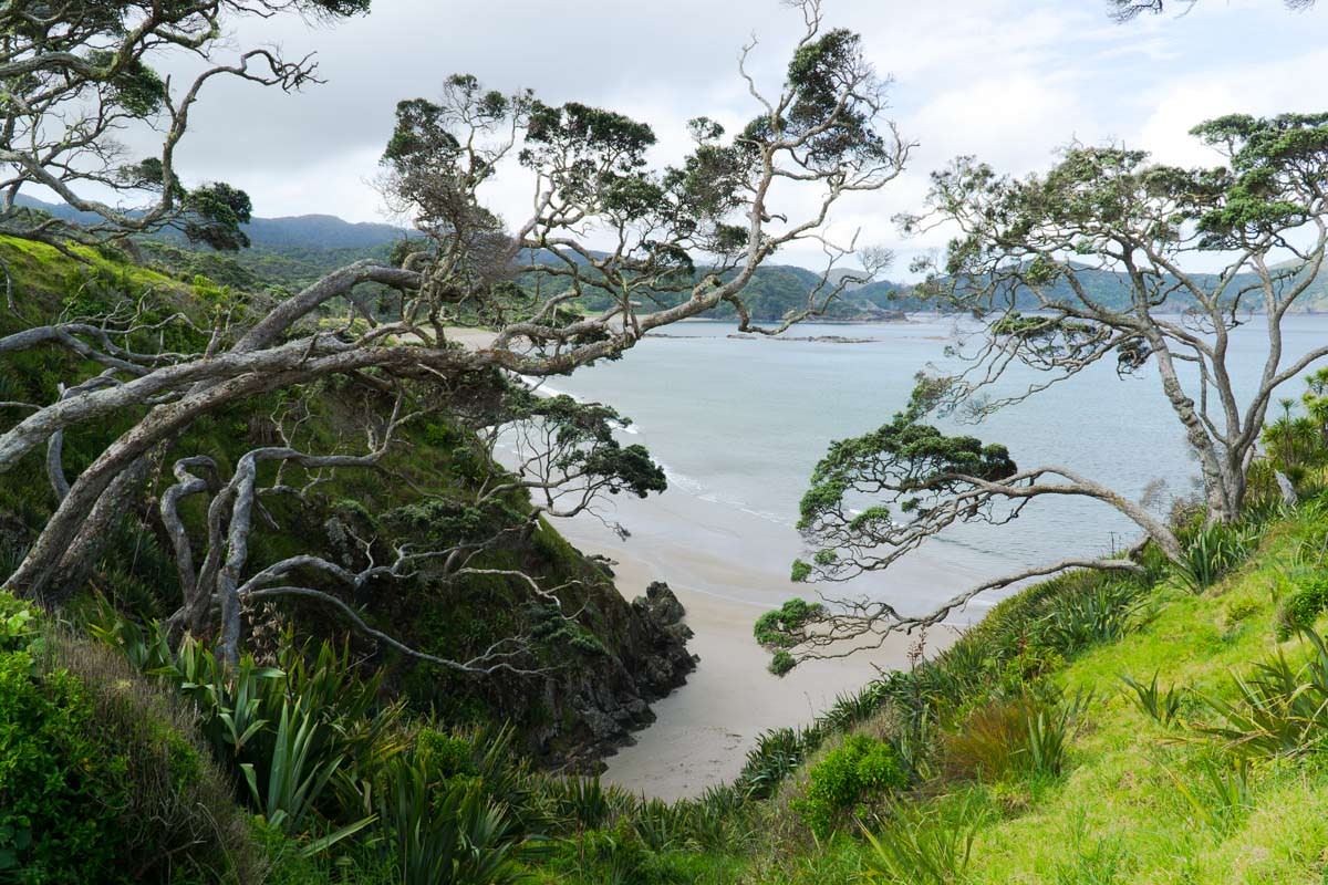 Abgelegender Strand der Elliot Bay (Bay of Islands) von Neuseeland