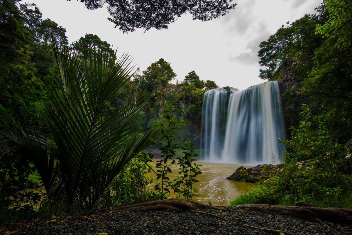Whangarei Falls im Whangarei Falls Scenic Reserve in Neuseeland