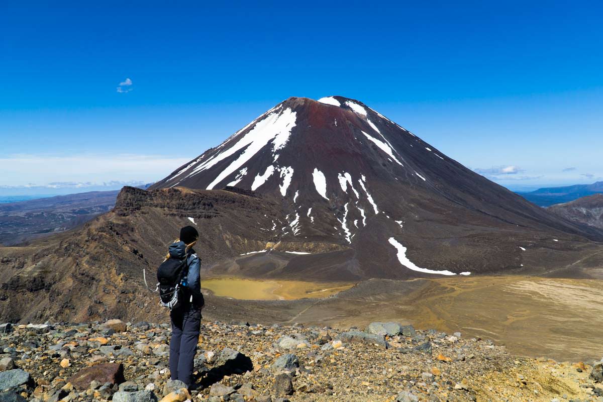 Blick auf den South Crater und den Mount Ngauruhoe im Tongariro Nationalpark in Neuseeland