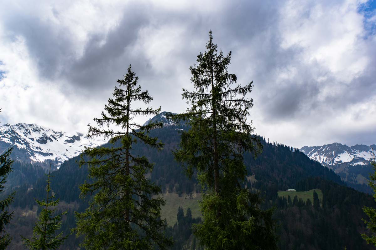 Bergpanorama in Hinterstein im Allgäu