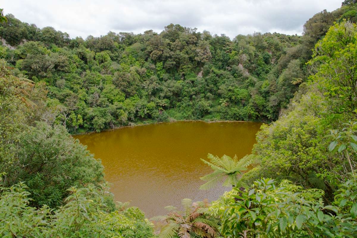 Emerald Lake im Waimangu Volcanic Valley in Neuseeland