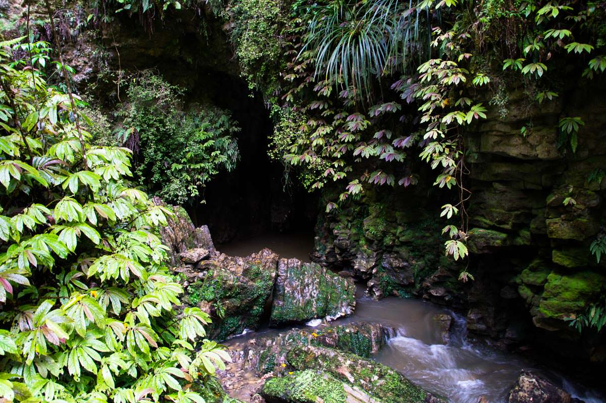 Höhle beim Ruakuri Walk in Neuseeland