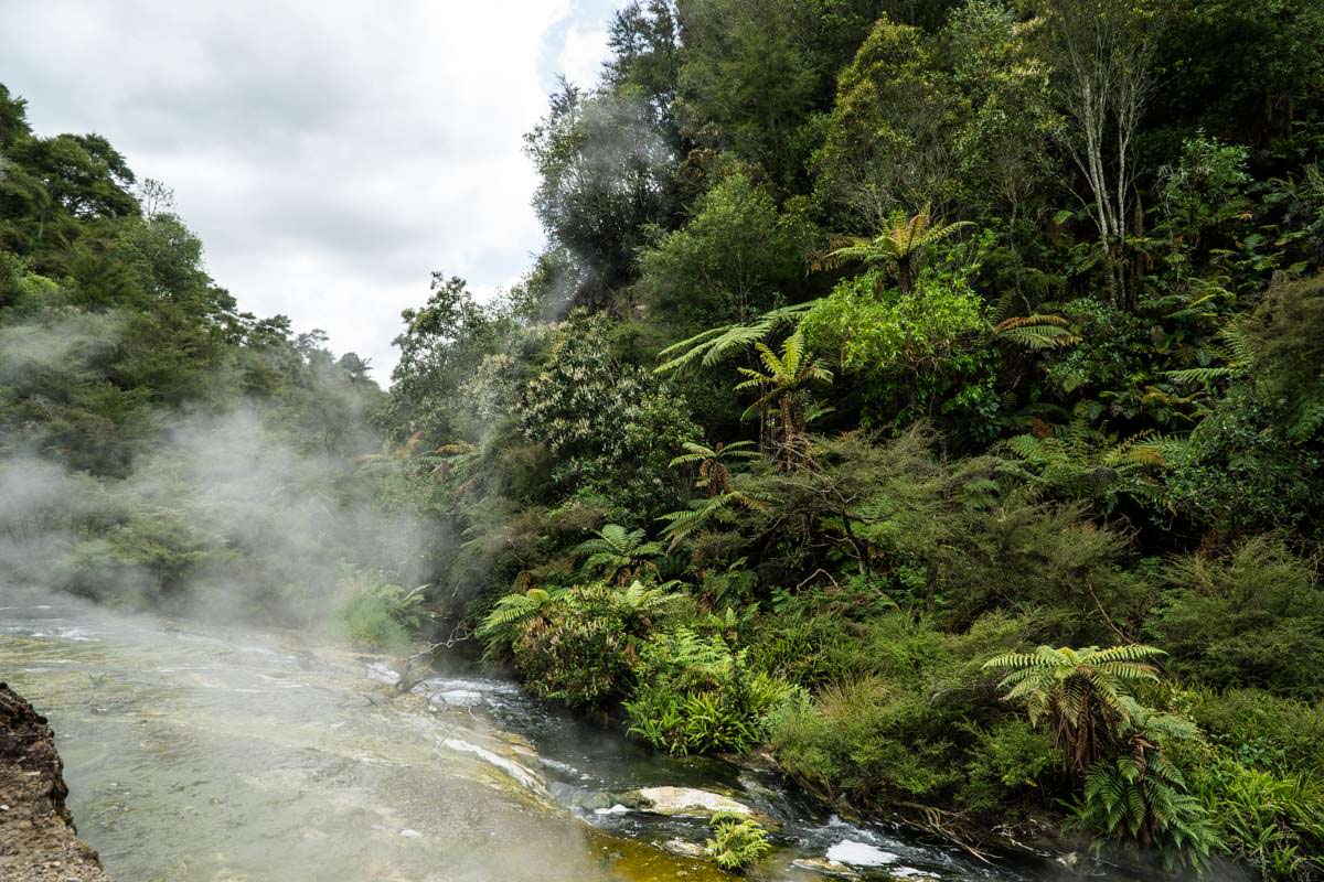 Schwefeldampf im Waimangu Volcanic Valley in Neuseeland