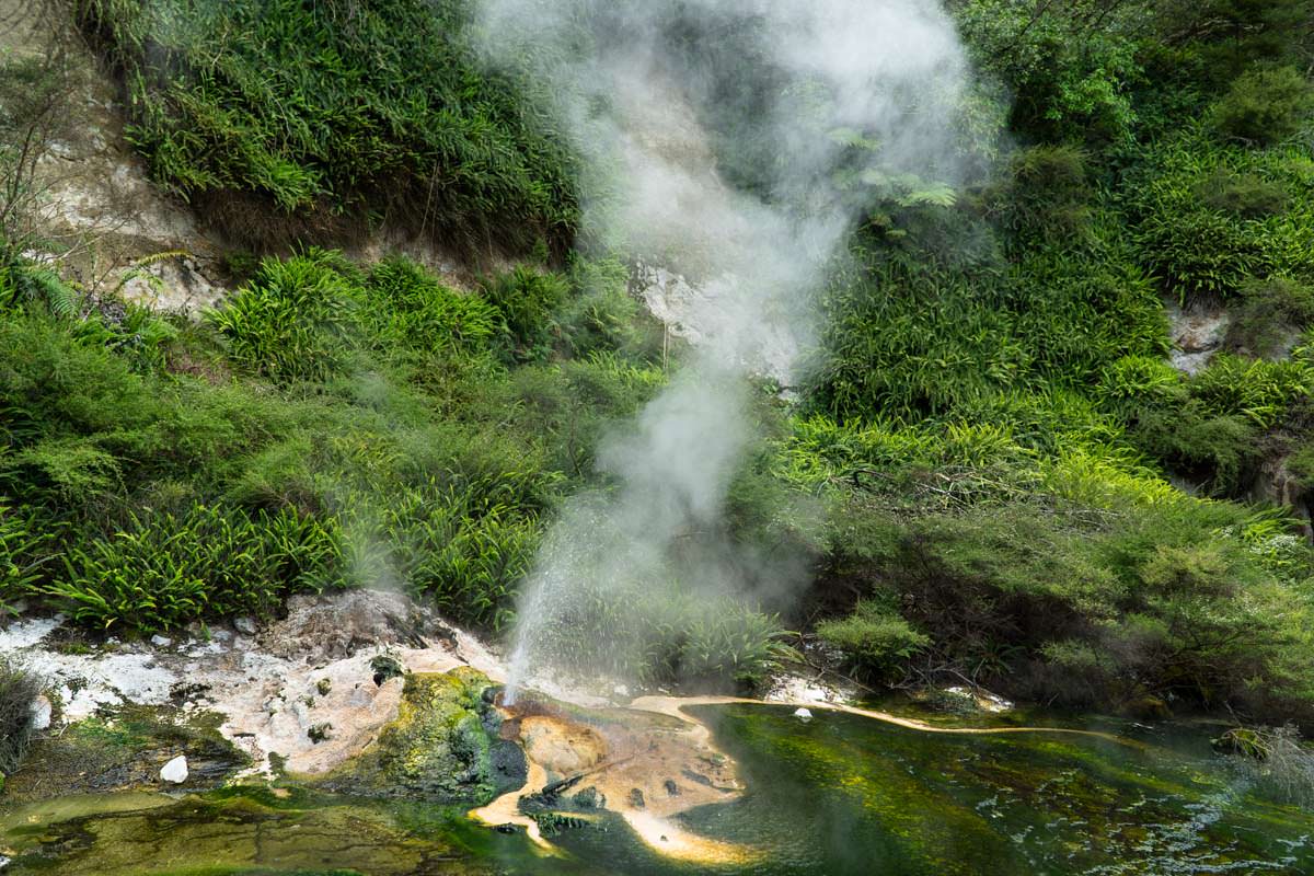 Mini-Geysir im Waimangu Volcanic Valley in Neuseeland