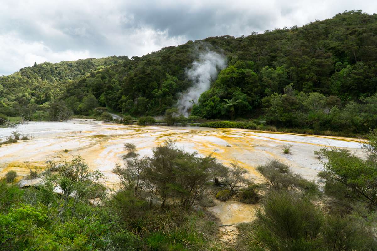 Sinterterrassen im Waimangu Volcanic Valley in Neuseeland