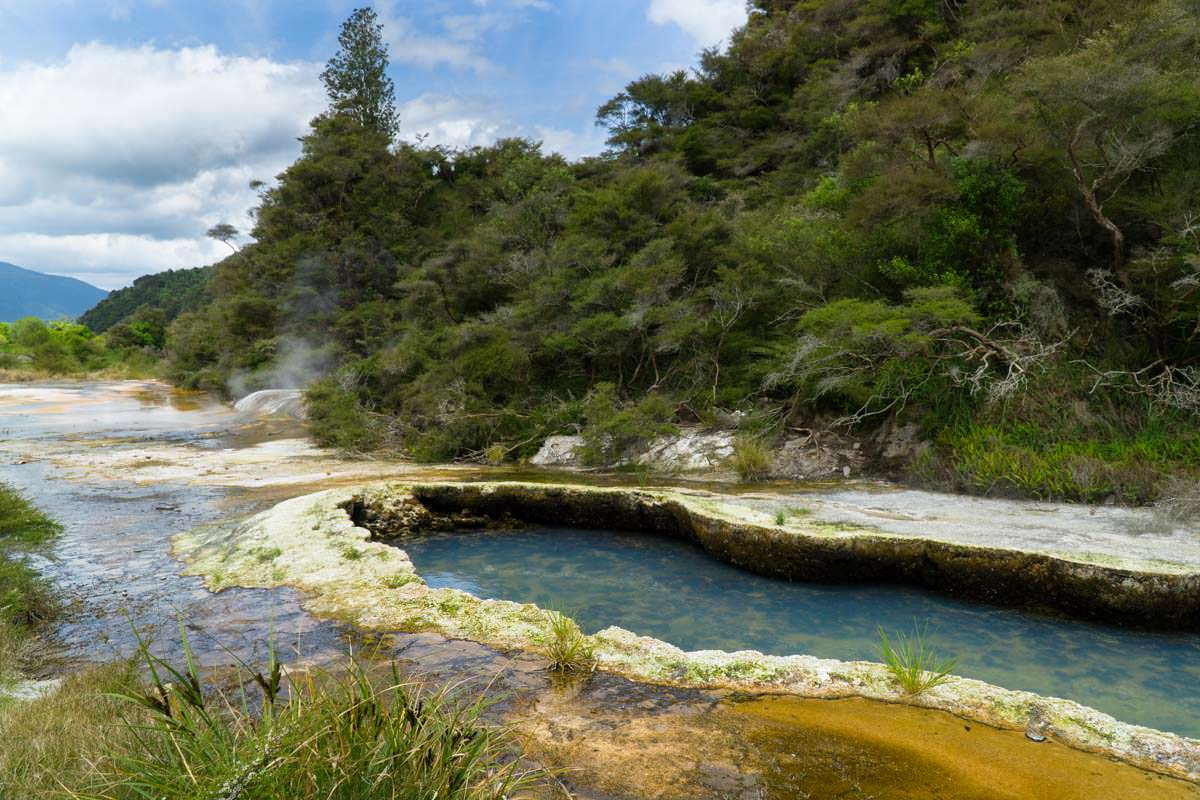 Warbrick Terrassen im Waimangu Volcanic Valley in Neuseeland