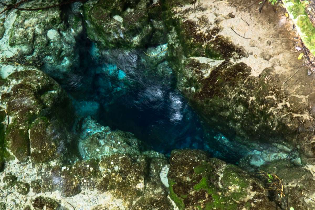 Quelle der Hamurana Springs in Neuseeland