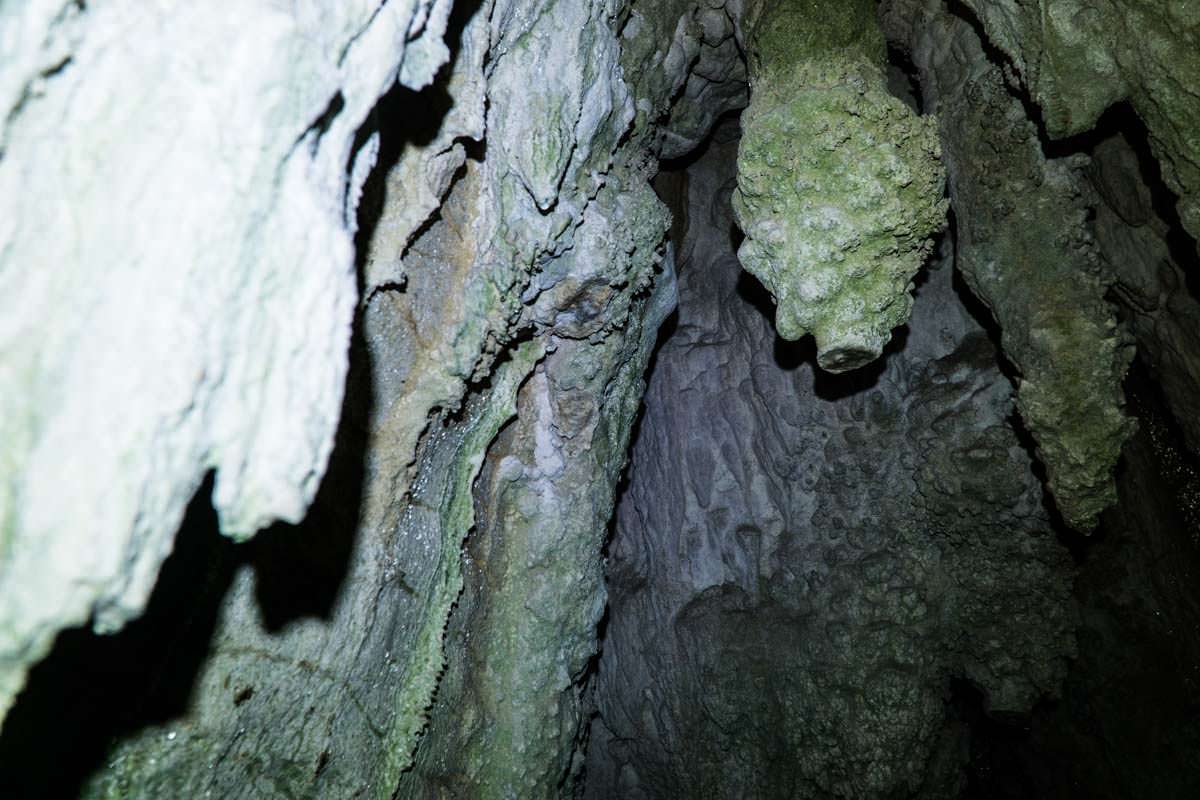 Höhle beim Ruakuri Walk in Neuseeland