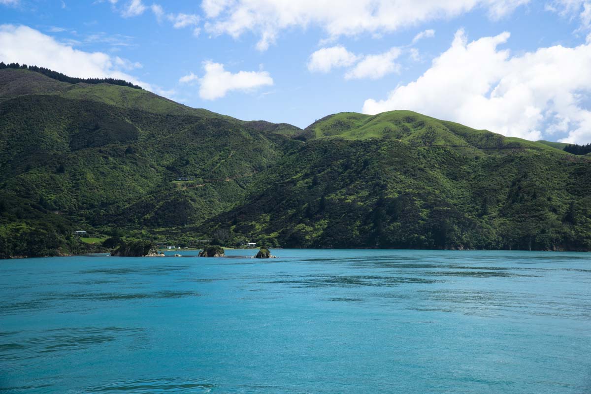 Cook Strait in Neuseeland