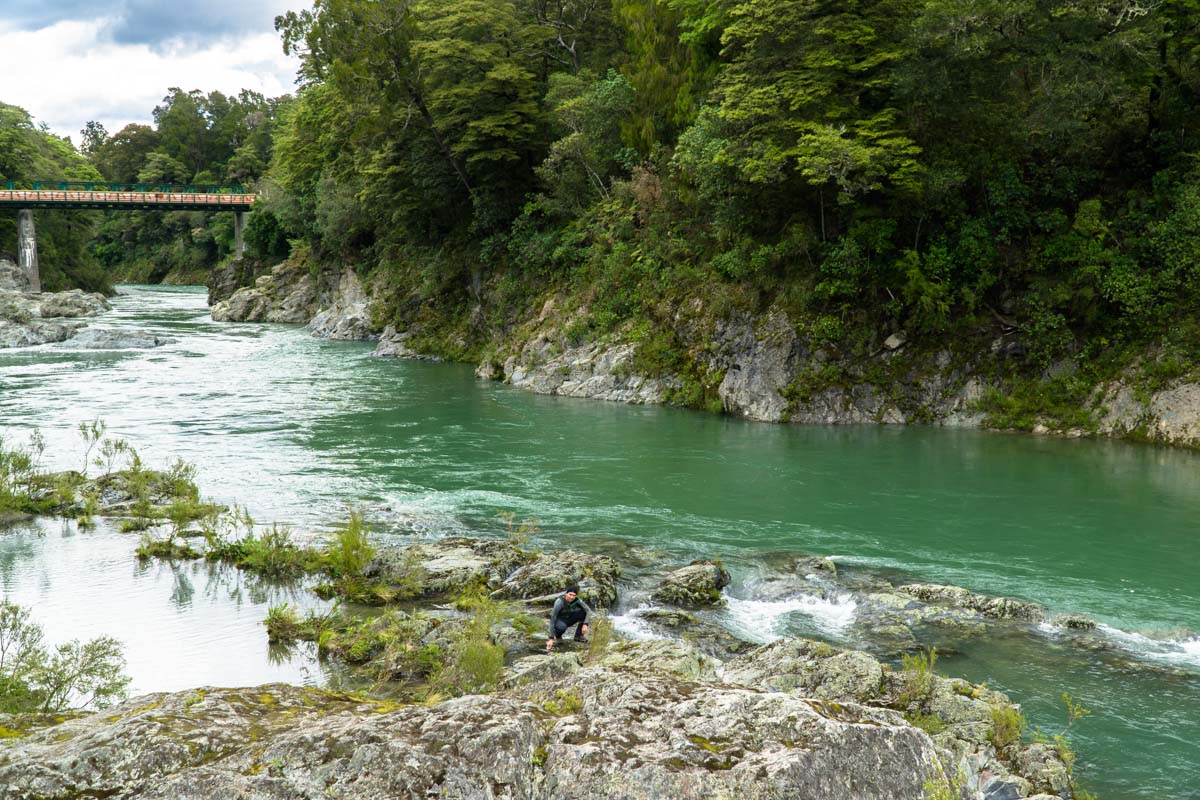 Pelorus Bridge Scenic Reserve in Neuseeland