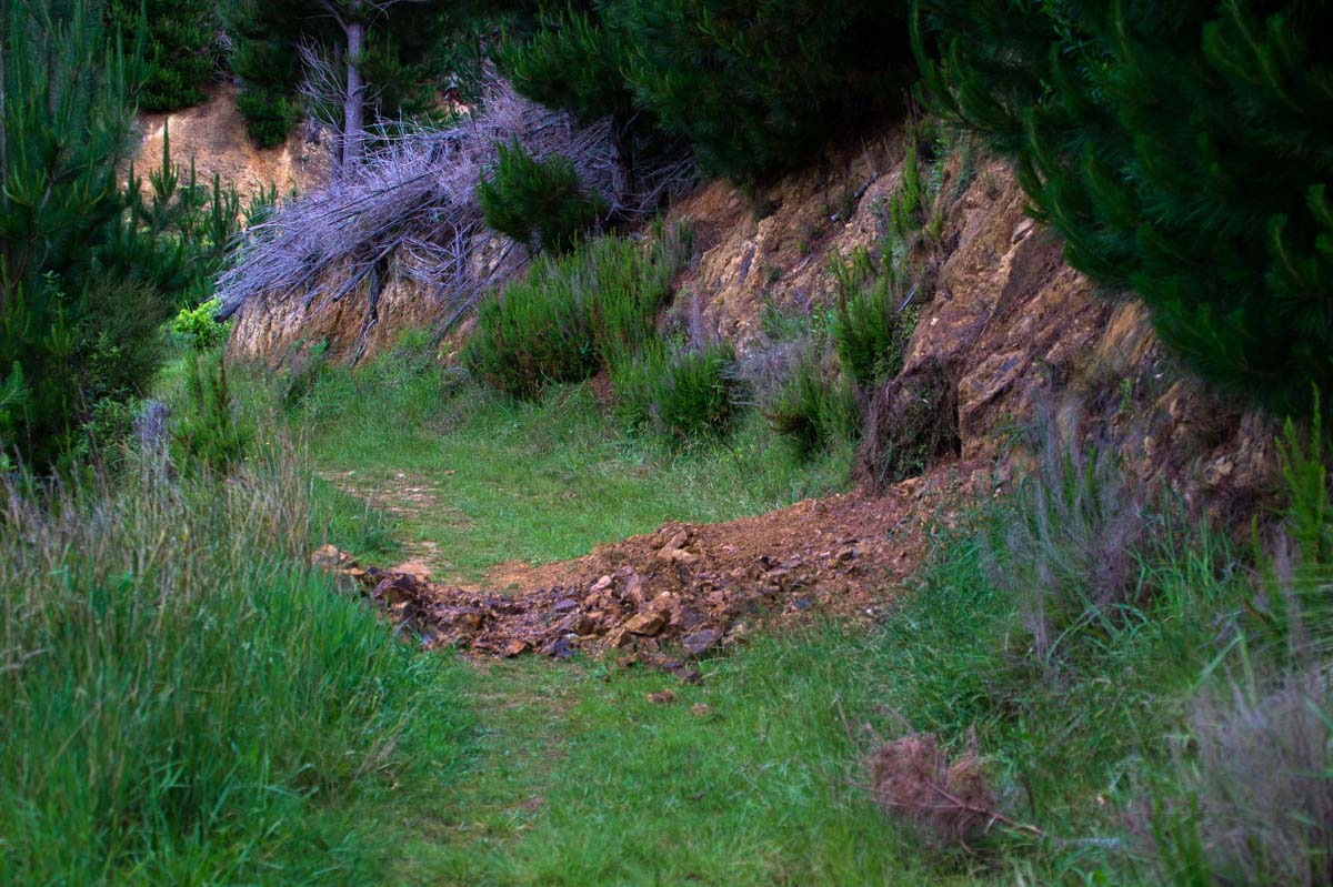 Erdrutsche am Archer Track in Neuseeland