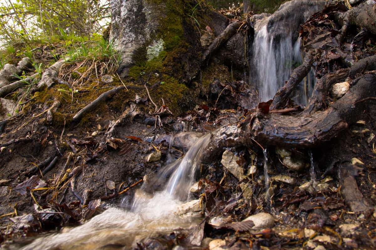 Kleiner Wasserfall am Ufer des Alpsee in Füssen