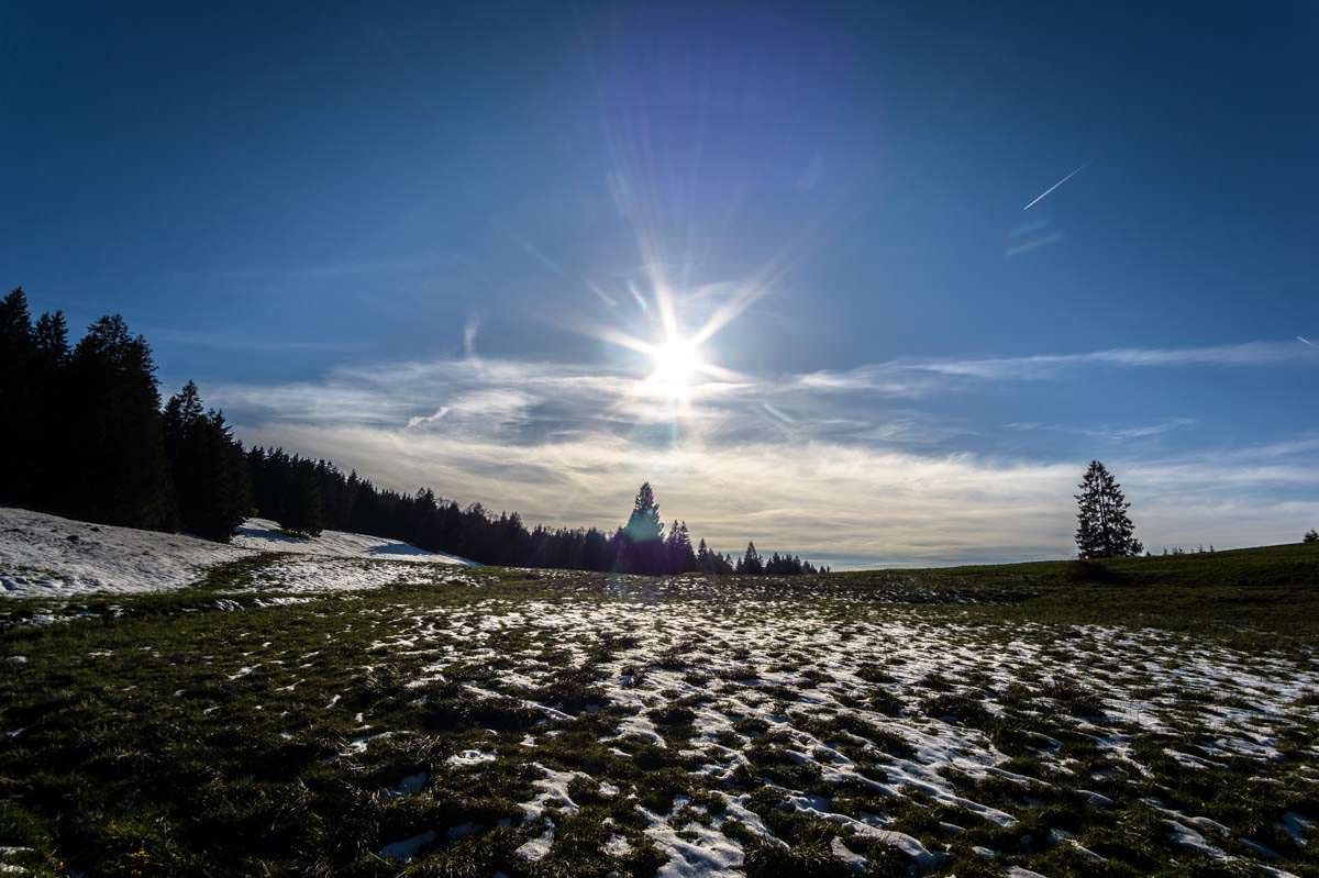 Die Pfarralpe am Alpsee