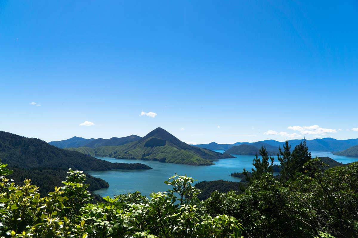 Pelorus Sound am French Pass in Neuseeland