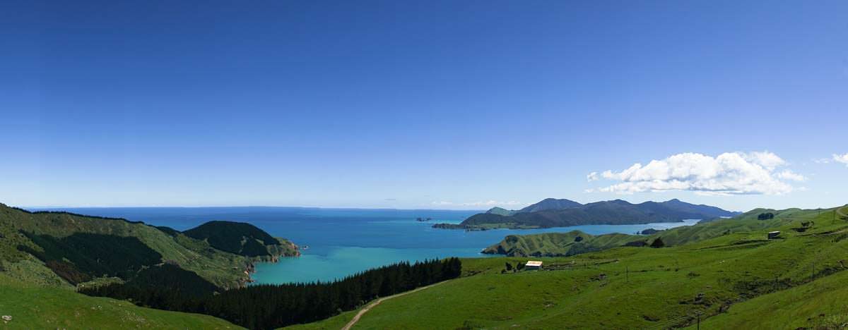 Pelorus Sound am French Pass in Neuseeland