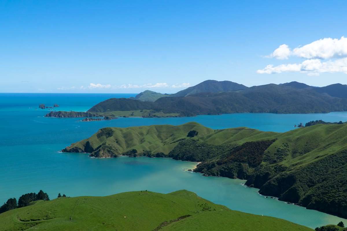 Pelorus Sound am French Pass in Neuseeland