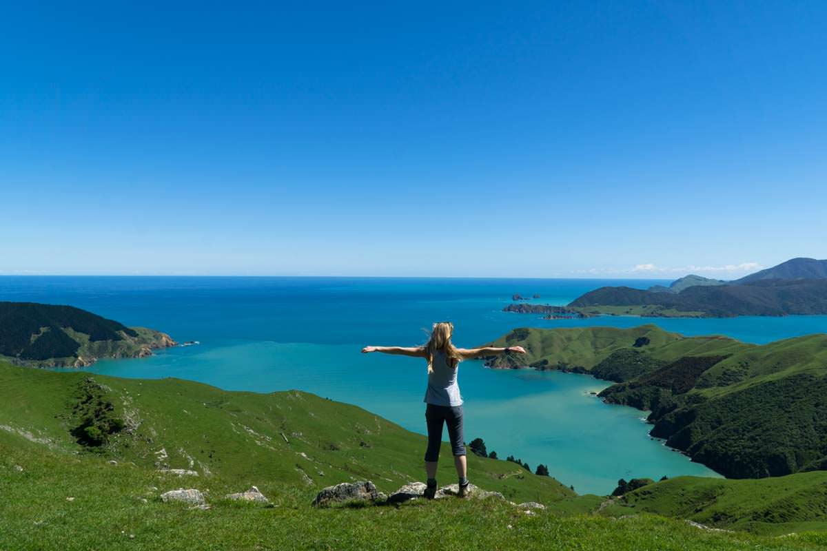 Pelorus Sound am French Pass in Neuseeland