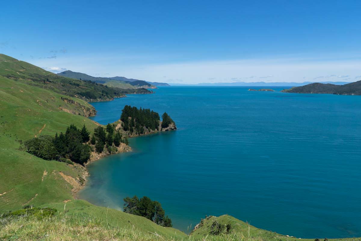 Pelorus Sound am French Pass in Neuseeland