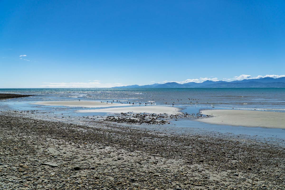 Strand vor Nelson in Neuseeland