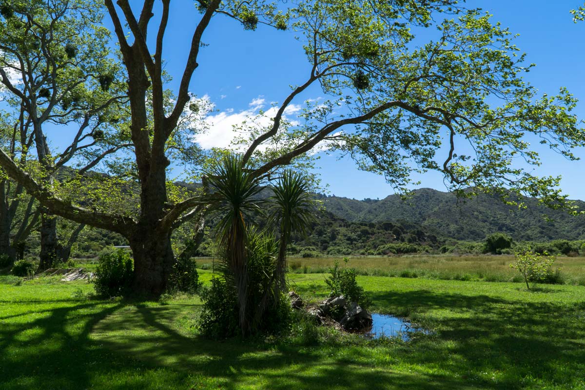 Totaranui Campground im Abel Tasman Nationalpark in Neuseeland