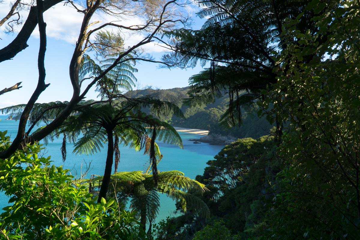 Blick auf die Mutton Cove im Abel Tasman Nationalpark