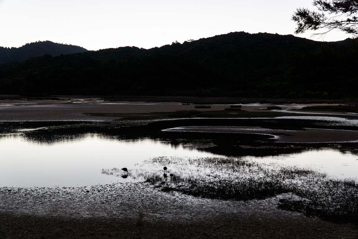 Abendstimmung in der Lagune vom Abel Tasman Nationalpark