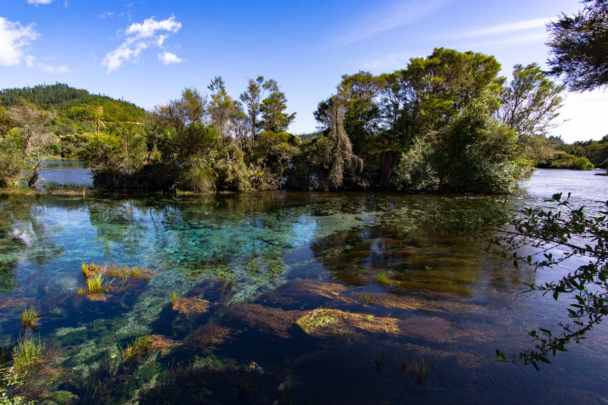 Te Waikoropupu Springs (Pupu Springs) in Neuseeland