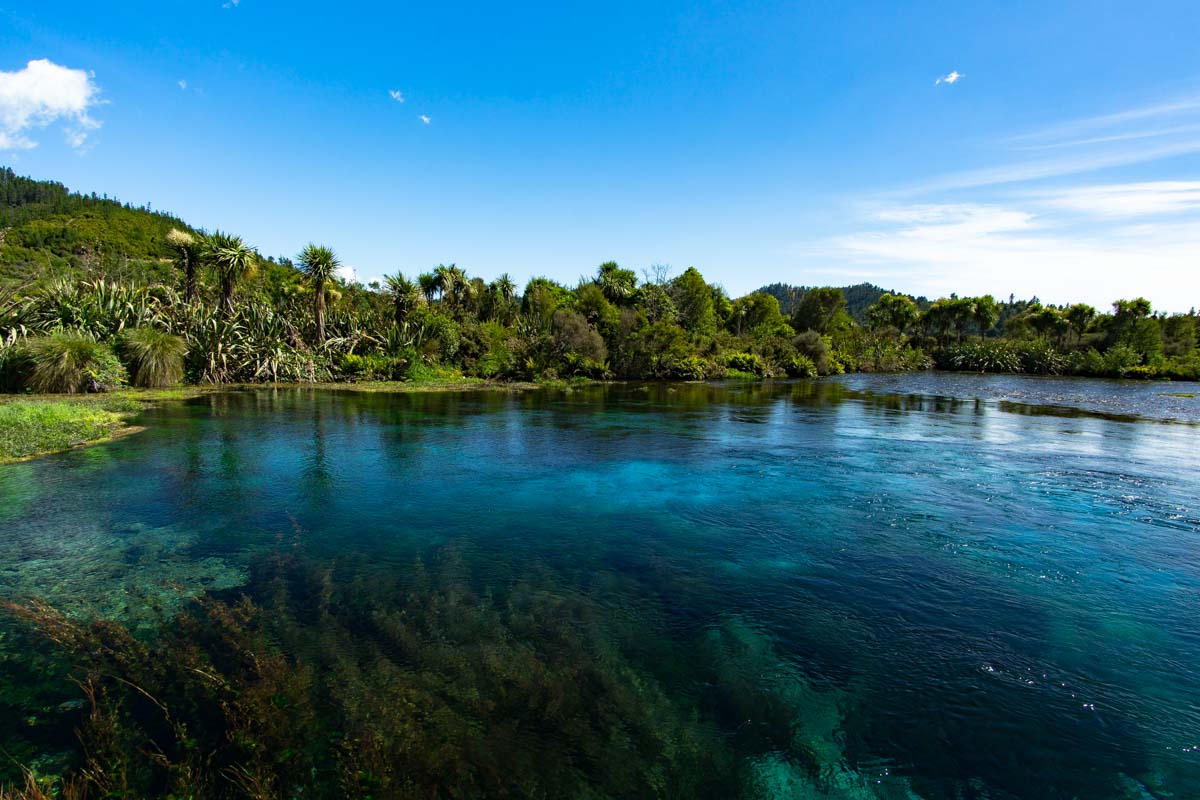 Te Waikoropupu Springs (Pupu Springs) in Neuseeland