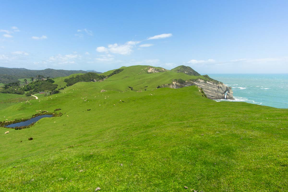 Hill Top Walk am Cape Farewell in Neuseeland