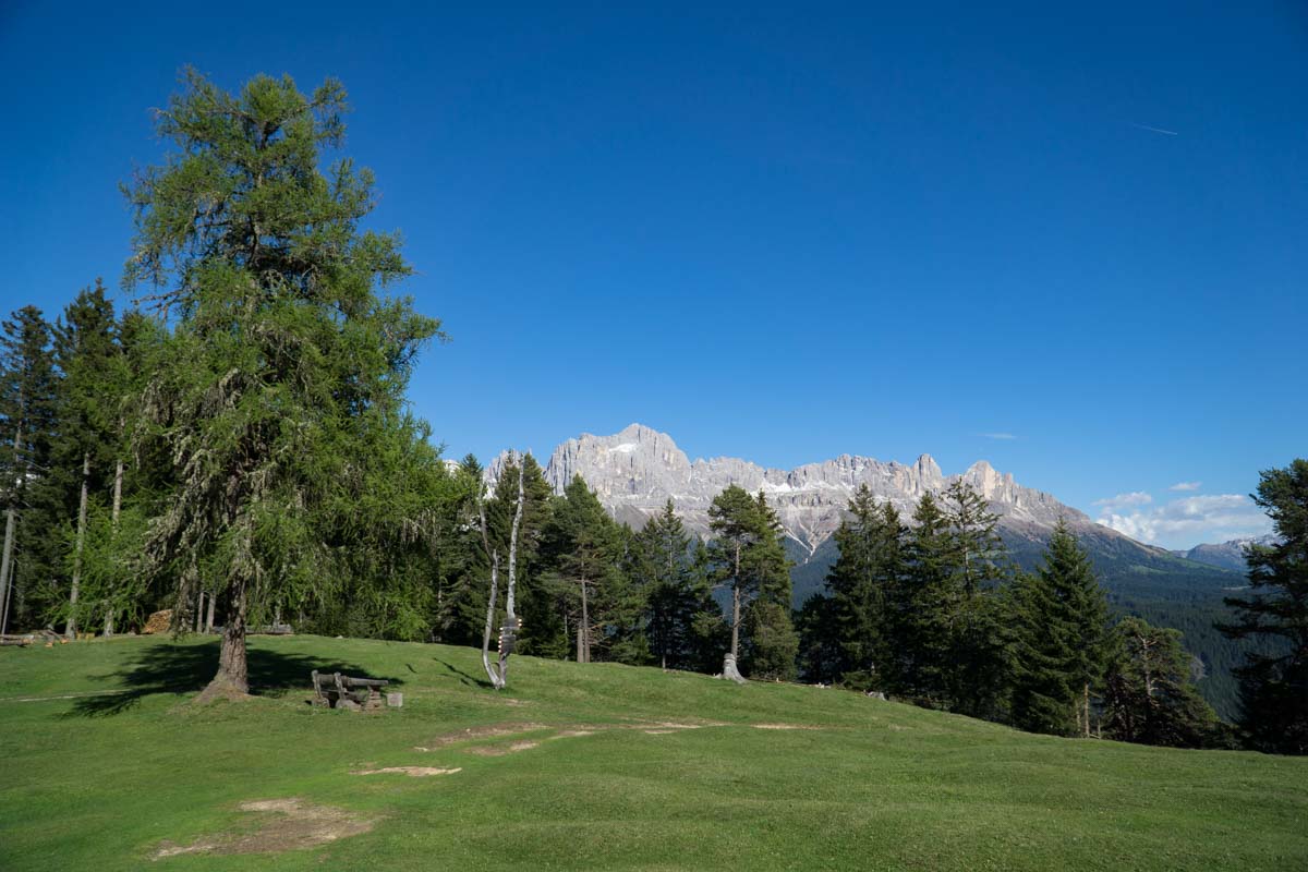 Blick vom Tschafon auf den Rosengarten