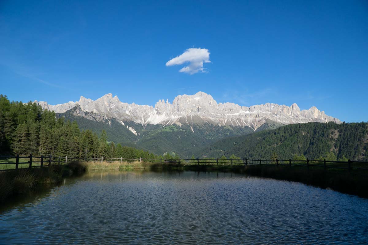 Der Wuhnleger Weiher